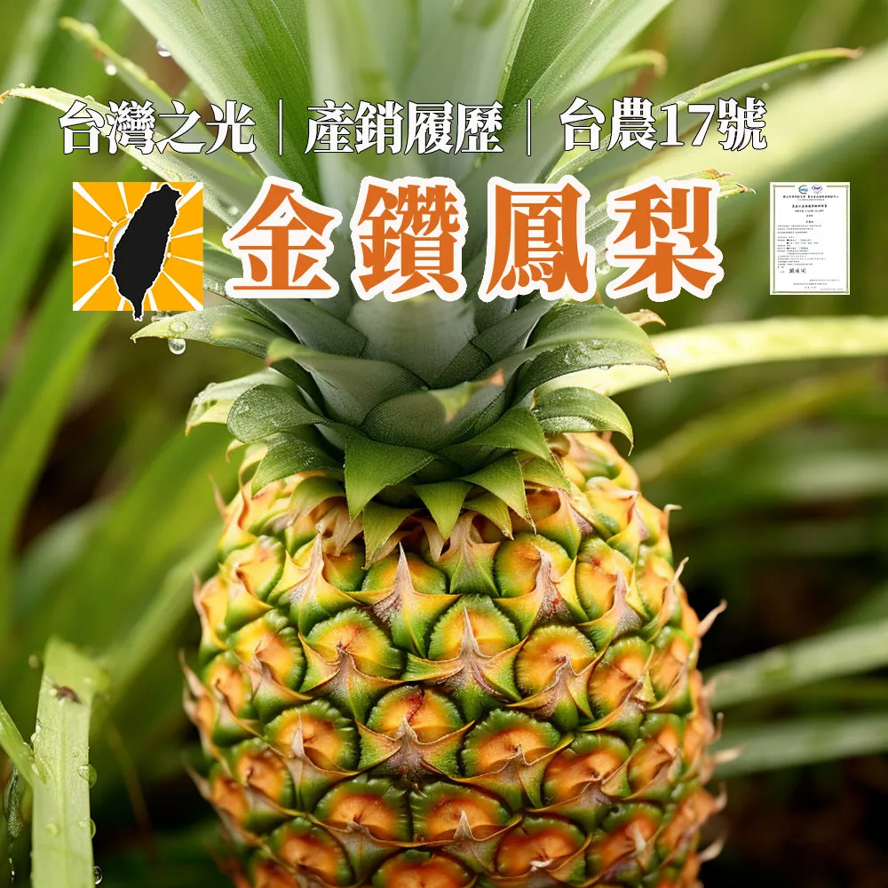 【初品果】產銷履歷-台農17號金鑽鳳梨2公斤2顆
