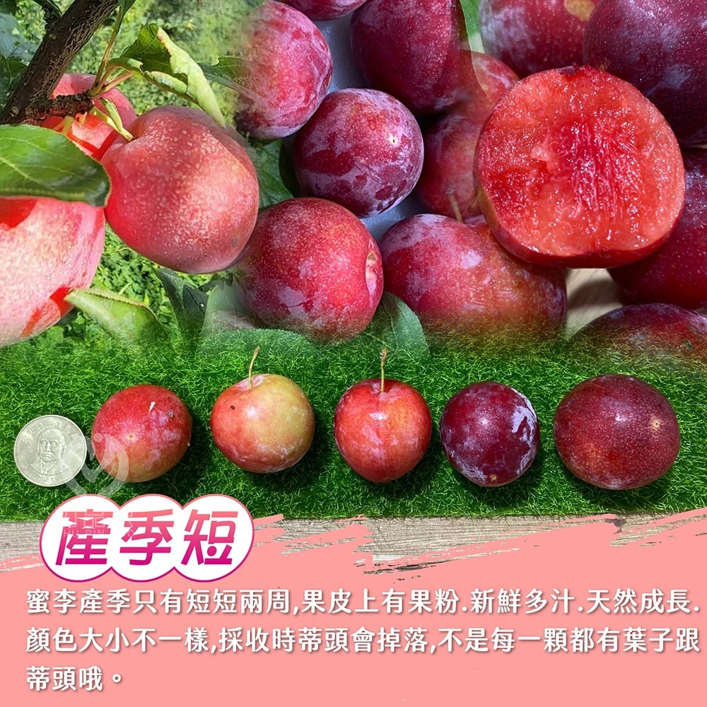 產地直送拉拉山蜜李禮盒3斤_冷藏配送
