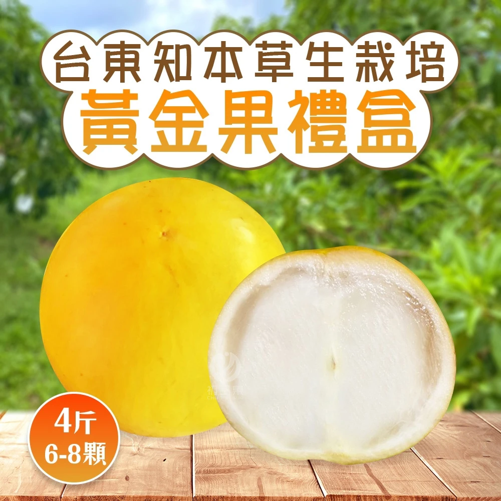 台東知本黃金果禮盒