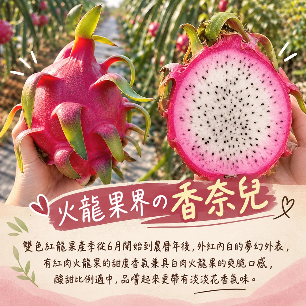 南投夢幻雙色火龍果6斤/10斤  1盒/2盒   預購