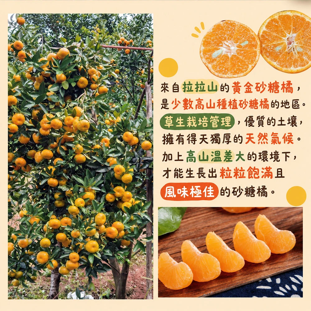 拉拉山砂糖橘禮盒3斤 1盒/2盒/4盒/8盒