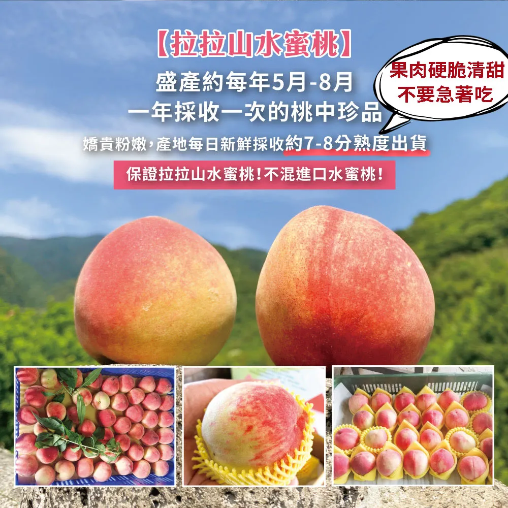產地直送拉拉山水蜜桃禮盒