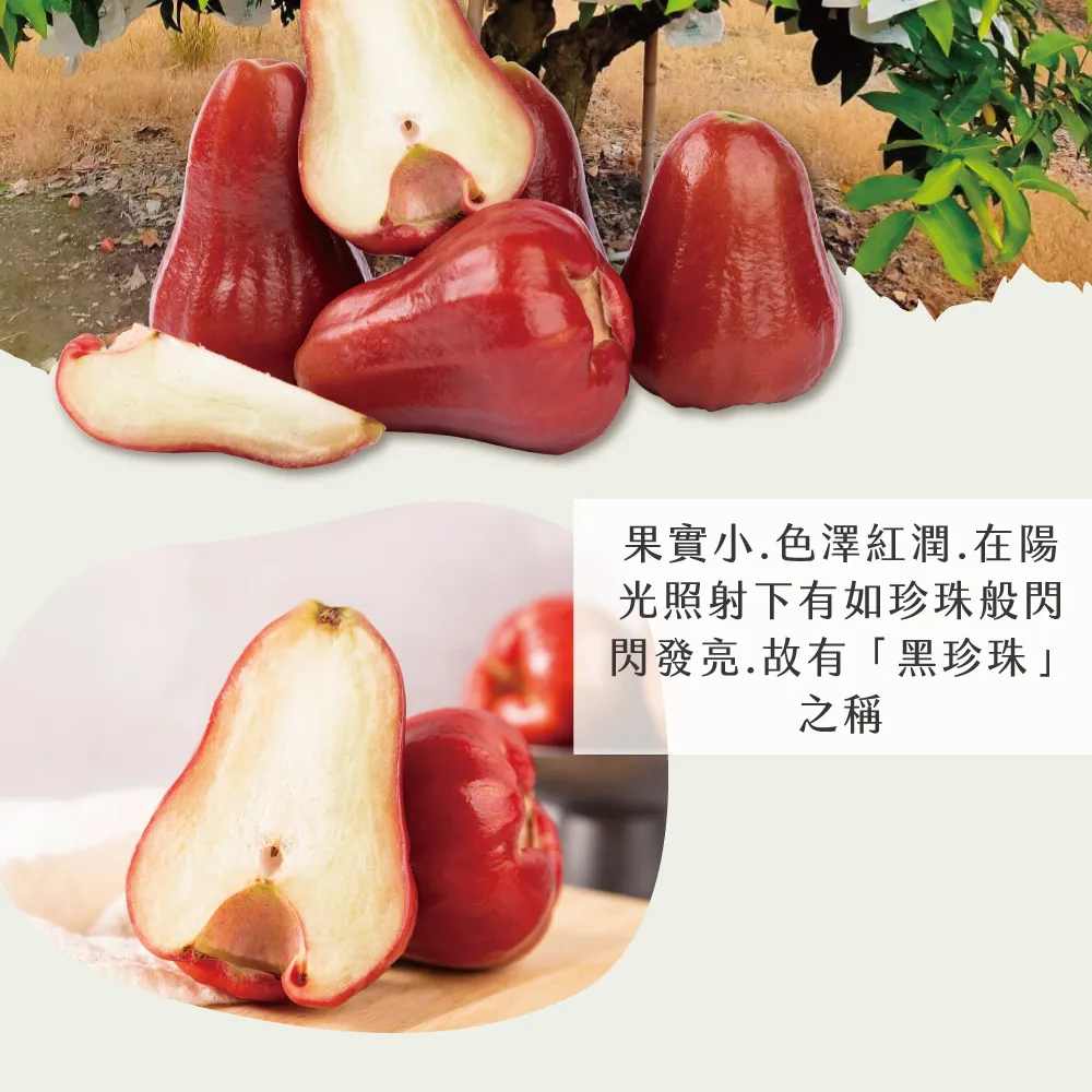 屏東枋寮黑珍珠蓮霧禮盒 3斤/4斤