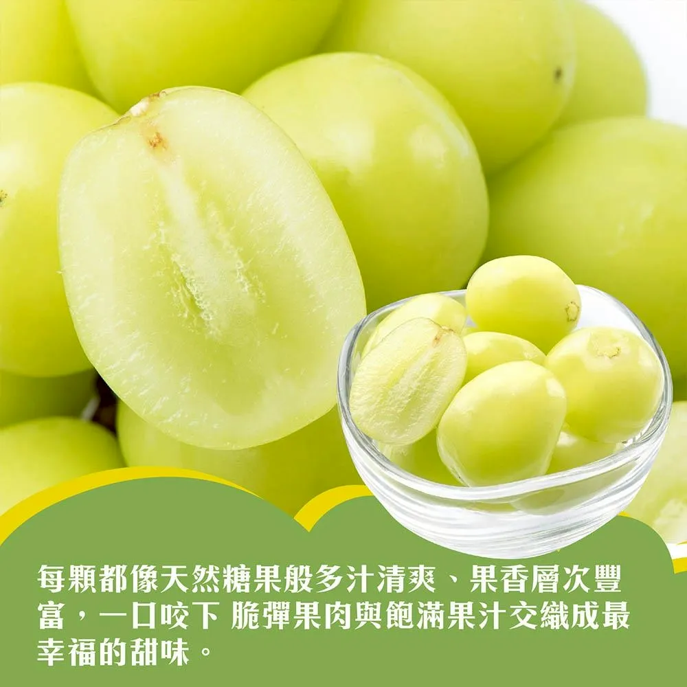 韓國空運進口麝香葡萄