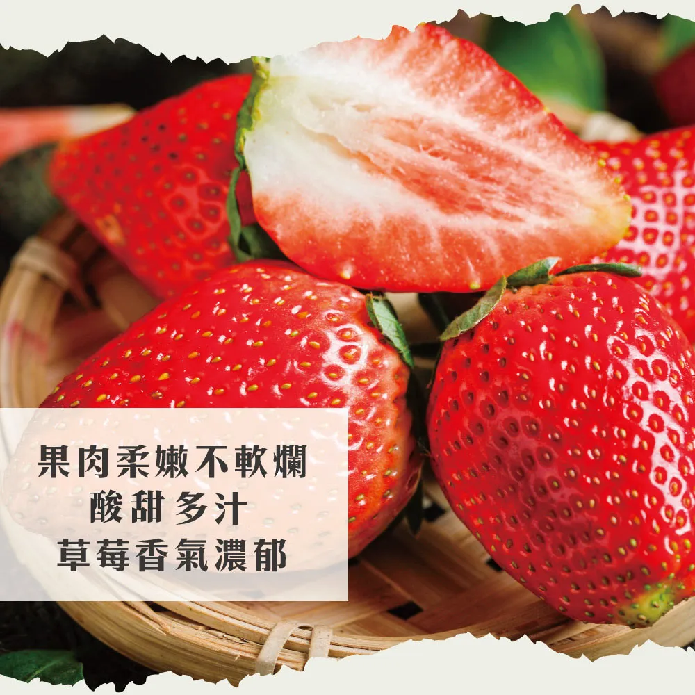 苗栗大湖香水草莓禮盒 2.5斤