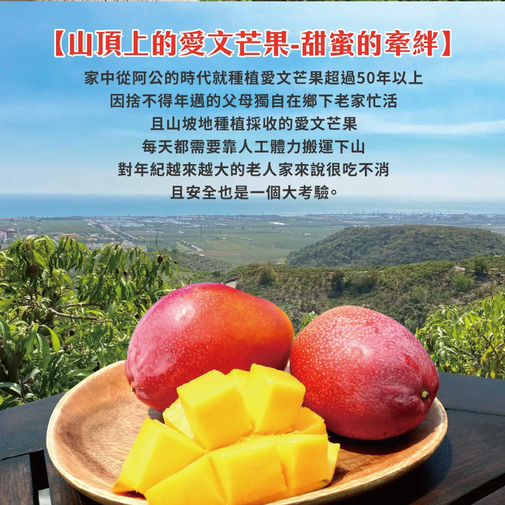 枋山阿憲愛文芒果禮盒 5斤-即日起開始預購4/30-5/10出貨