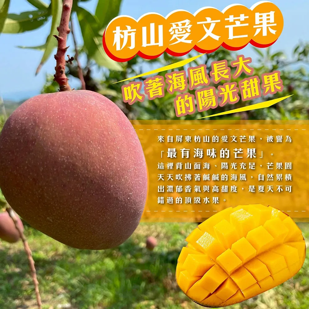 與獼猴和平共存的芒果【猴仔抓芒果】屏東枋山愛文芒果禮盒 4斤/8斤 (即日起開始預購4/30-5/10出貨)