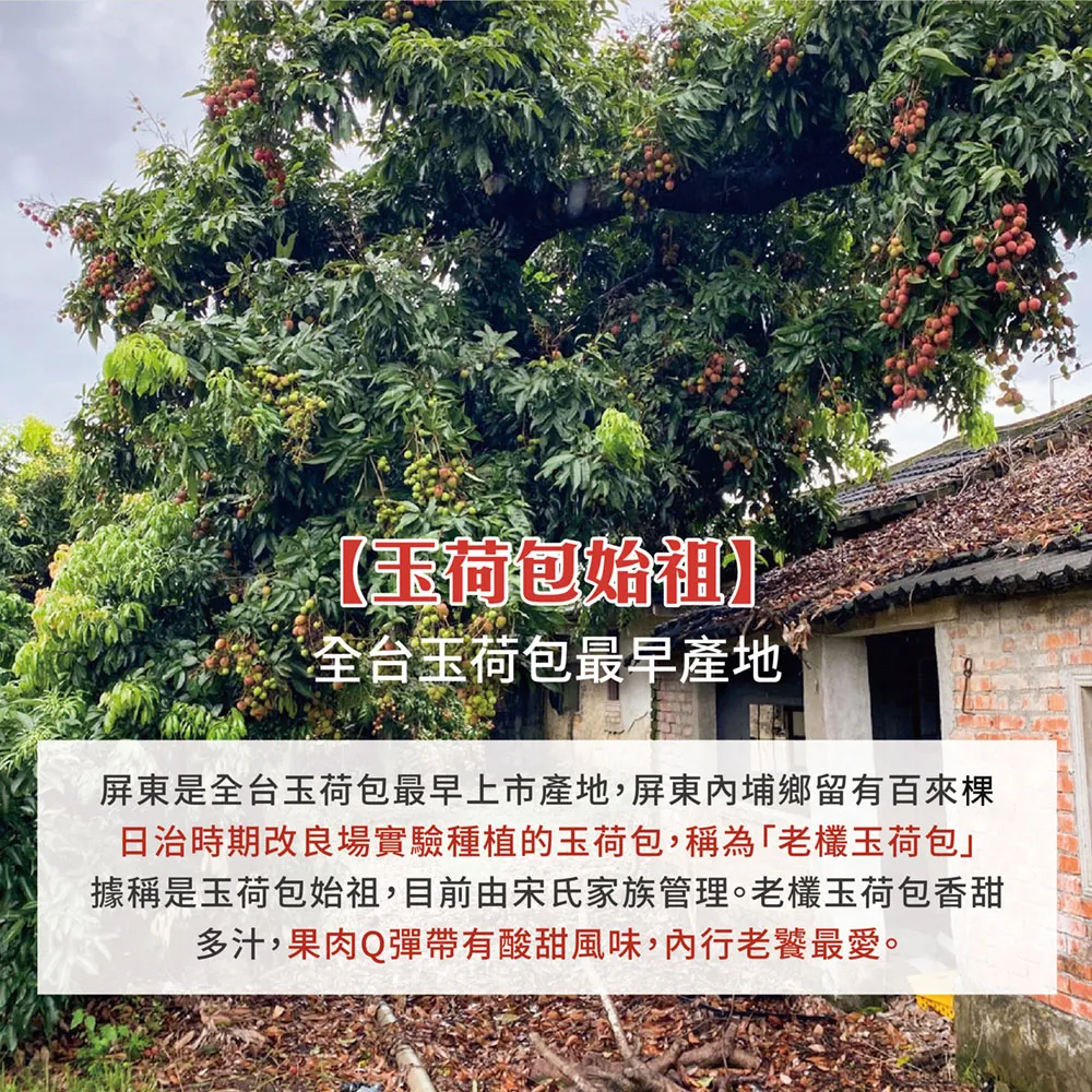 預購-屏東內埔60年老欉玉荷包禮盒4斤 帶枝不分大小 冷藏出貨 5/21開始陸續出貨