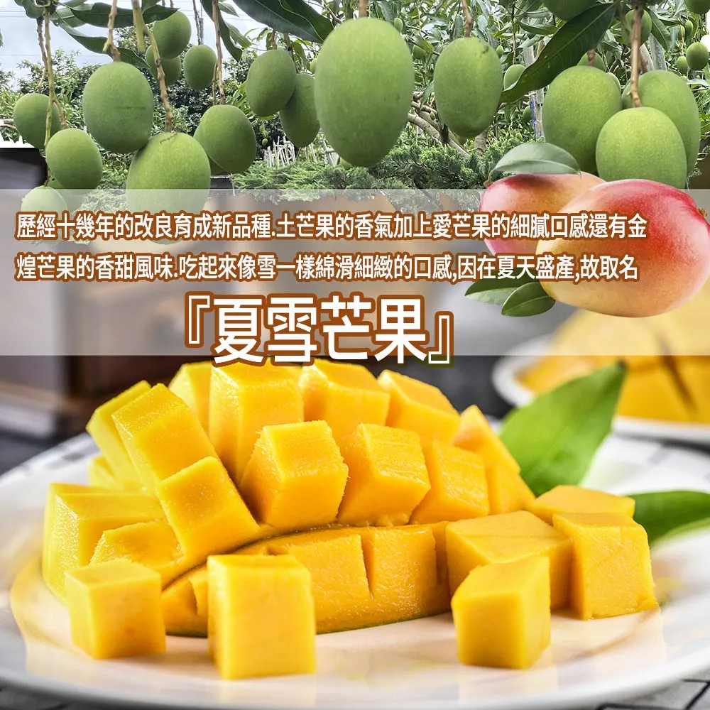 芒果界LV 台東夏雪芒果禮盒4斤4-8顆 6/15開始陸續出貨