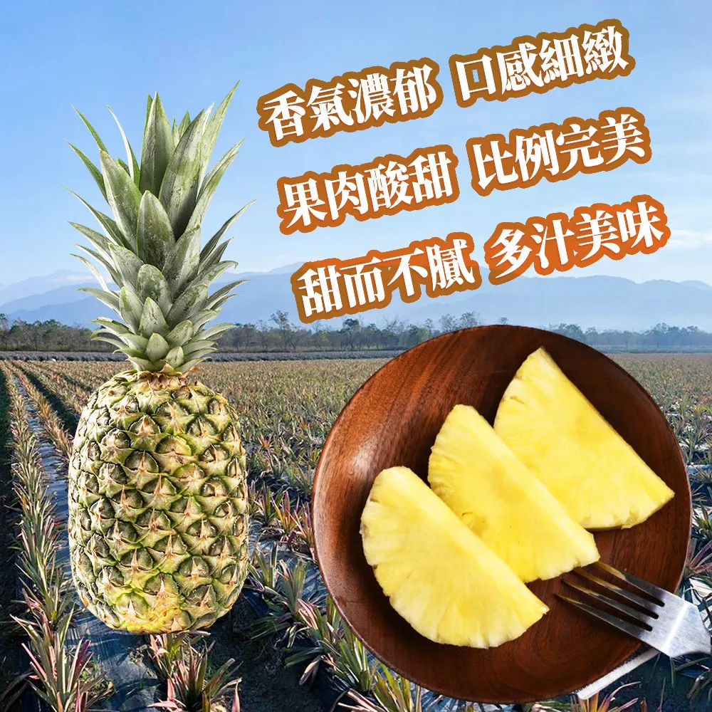【初品果】產銷履歷-台農17號金鑽鳳梨2公斤2顆