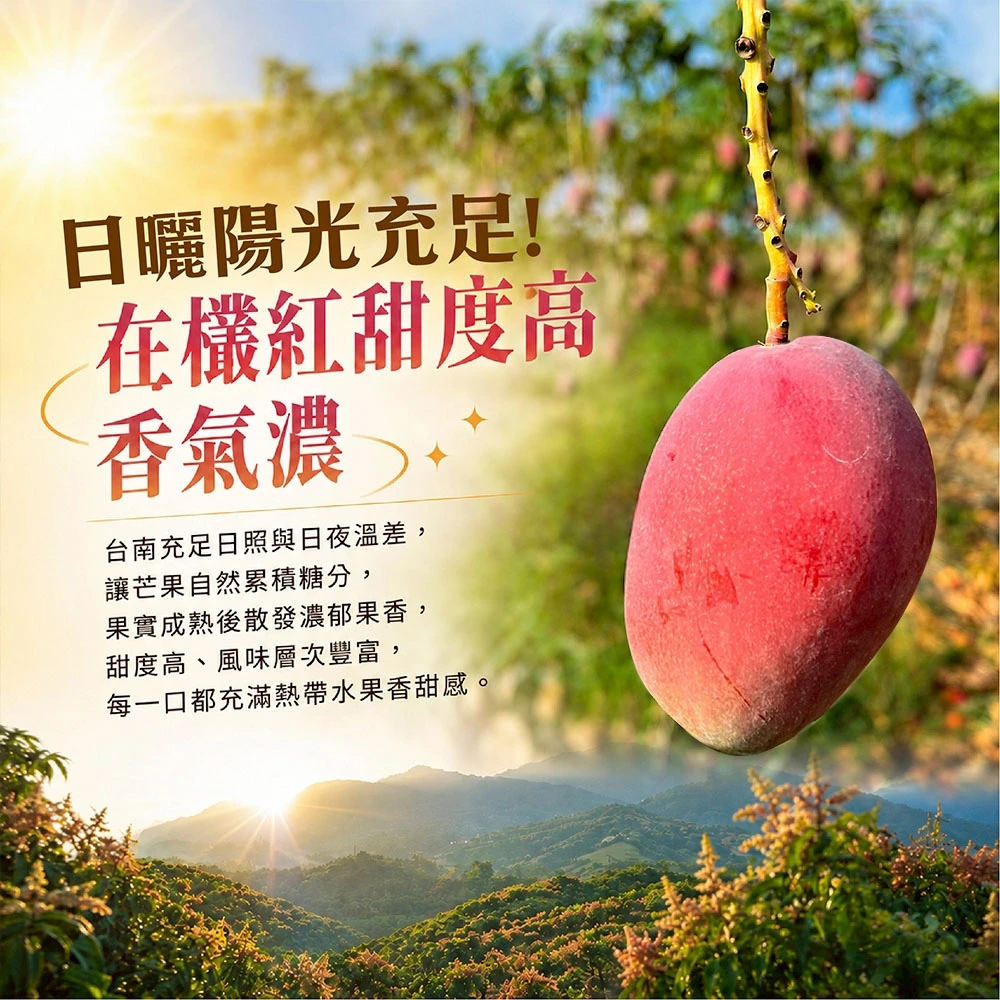 產地直送台南愛文芒果含箱10斤  18-24顆/12-16顆  1箱/2箱