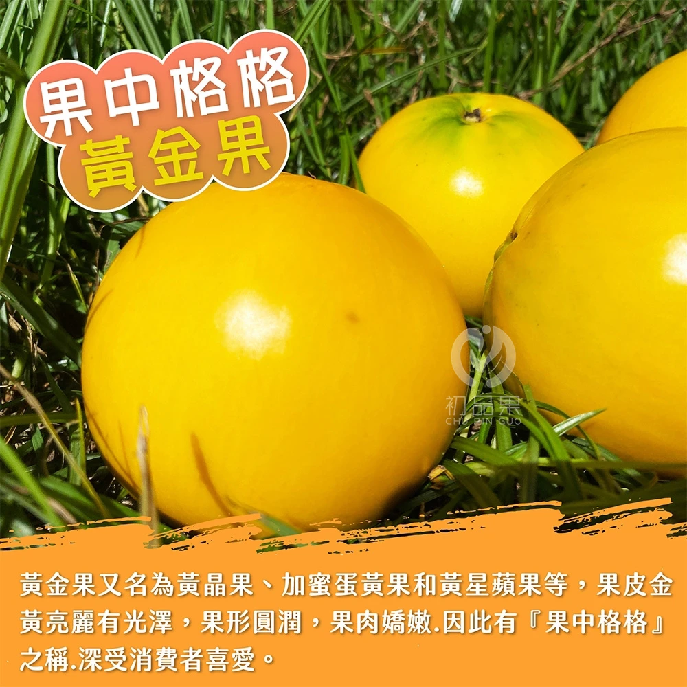 台東知本黃金果禮盒