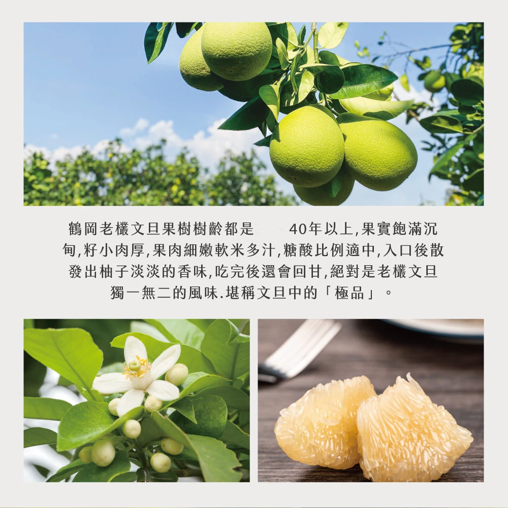 花蓮鶴岡老欉精品文旦禮盒  【歡迎企業大量訂購】