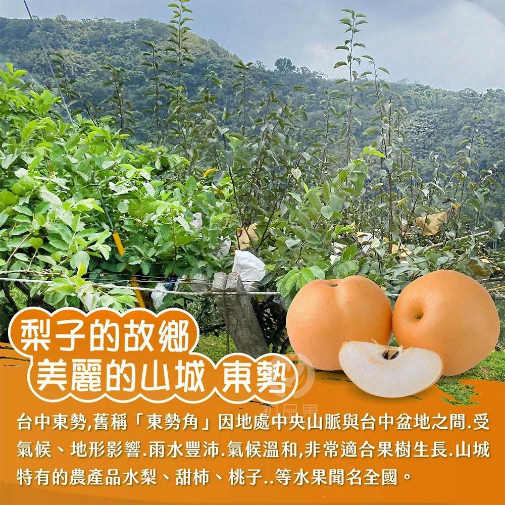 台灣寶島甘露梨禮盒6顆裝/盒 (中秋禮盒/企業送禮/好友揪團/大量訂購) 8/1起開始陸續出貨
