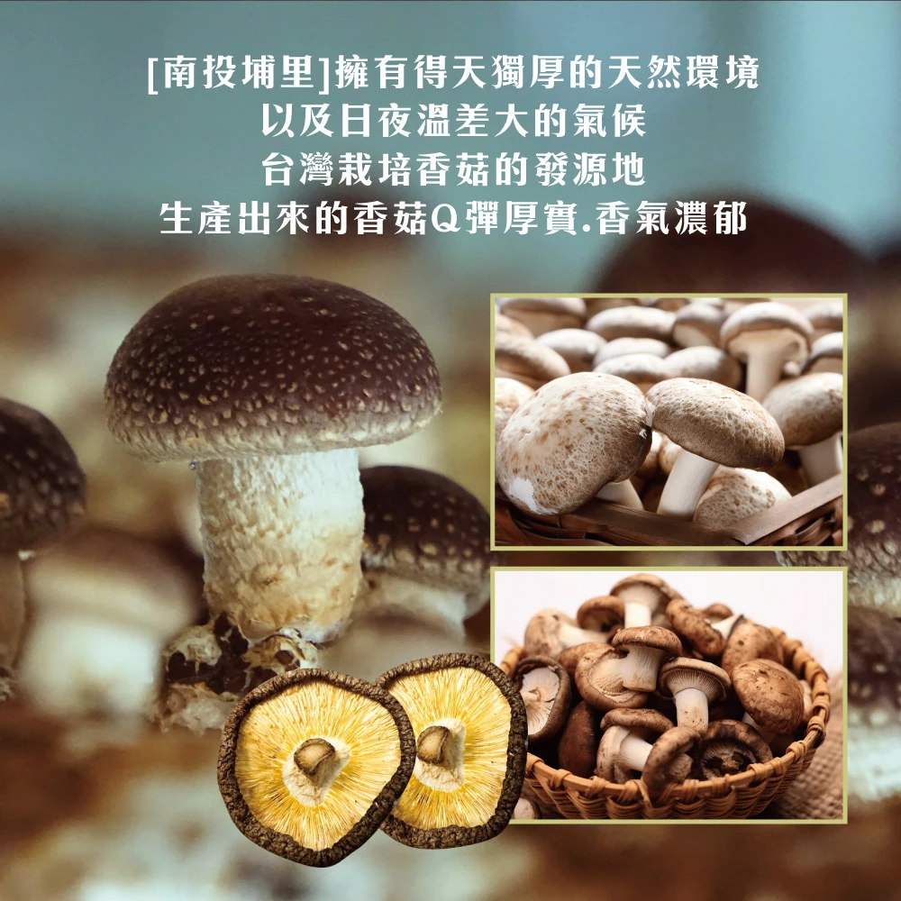 南投埔里正宗台灣香菇禮盒 (大香菇/小香菇)絕不混大陸菇