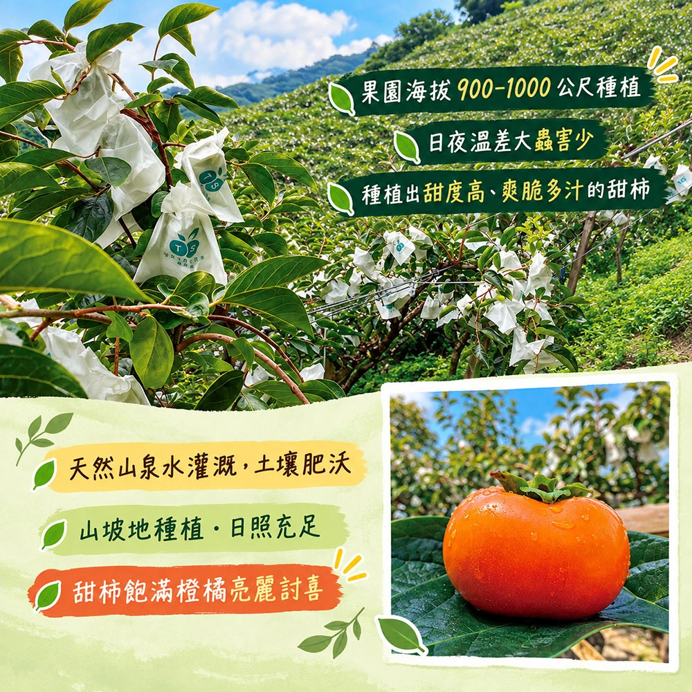 達觀部落御用甜柿禮盒  5A 6A 7A 8A 9A  1盒/2盒