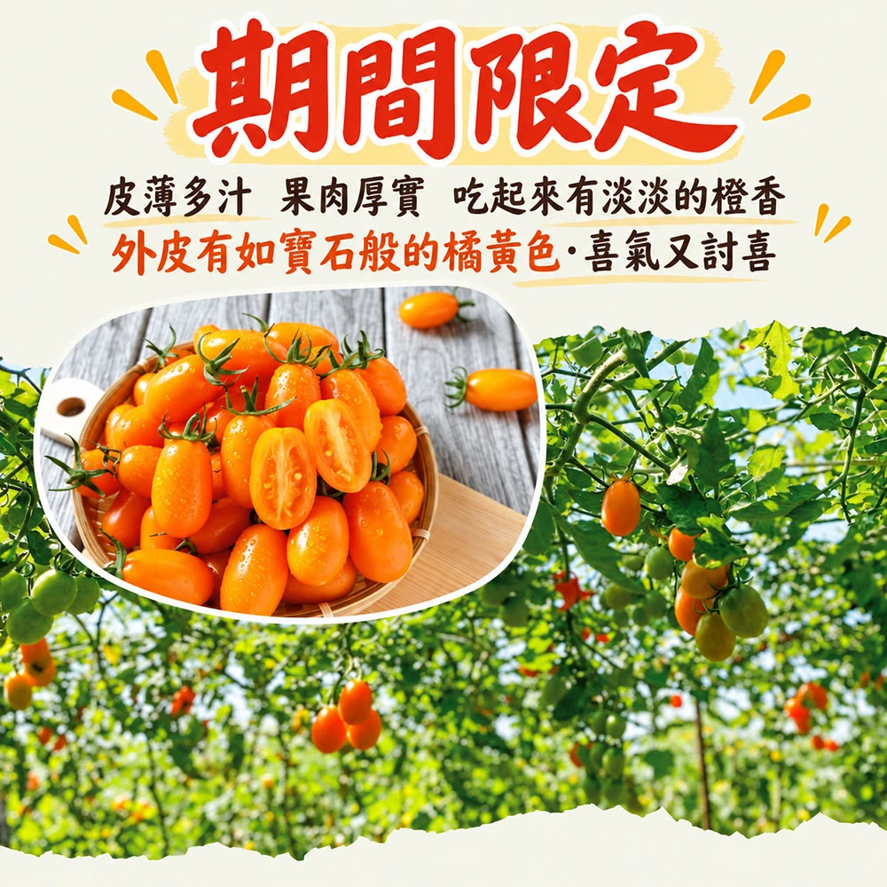 高雄美濃橙蜜香小番茄禮盒3斤 1盒/2盒/4盒/8盒