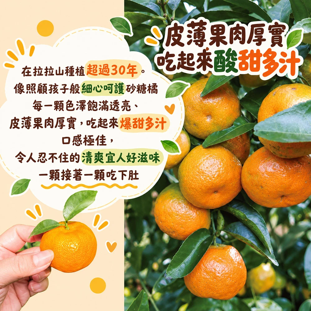拉拉山砂糖橘禮盒3斤 1盒/2盒/4盒/8盒