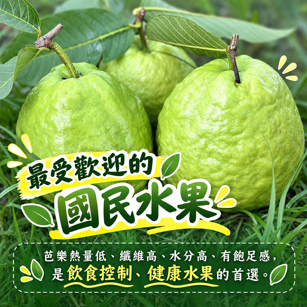 彰化溪州珍珠芭樂禮盒5斤6-10顆