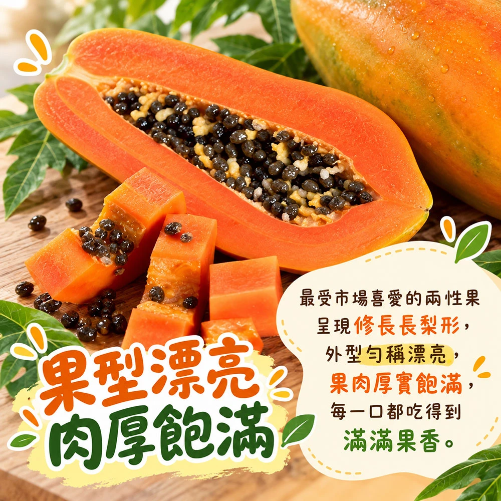 國民水果 台農2號木瓜  下單後D+7工作天出貨