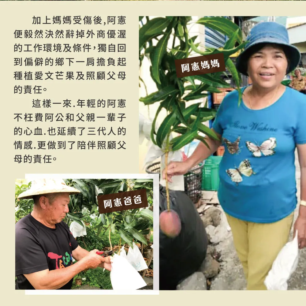 愛文芒果禮盒 10斤12-16顆 _枋山阿憲x山頂上的愛文芒果