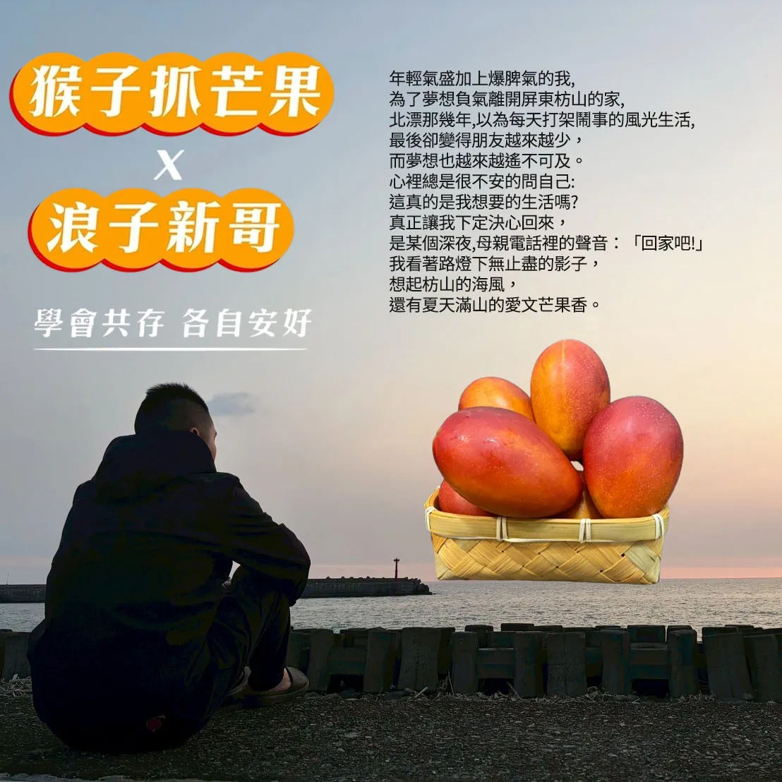 與獼猴和平共存的芒果【猴仔抓芒果】屏東枋山愛文芒果禮盒 4斤/8斤 (即日起開始預購4/30-5/10出貨)