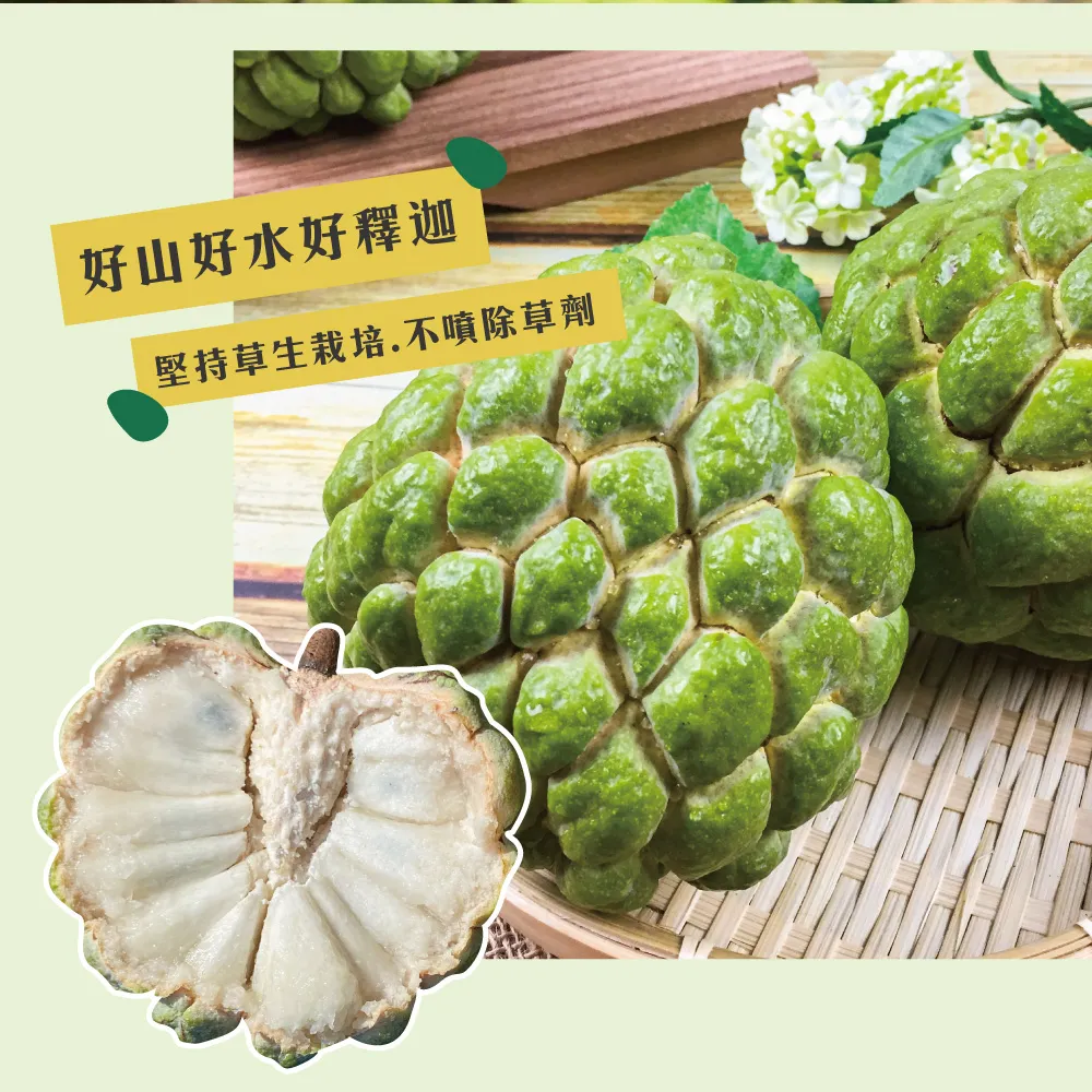 產地直送台東知本大目釋迦禮盒 5斤/10斤 