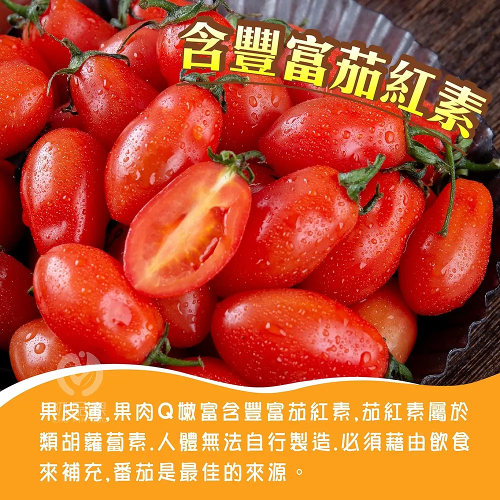 產地直送皮薄多汁玉女小番茄禮盒4斤   1盒/2盒/4盒/6盒 