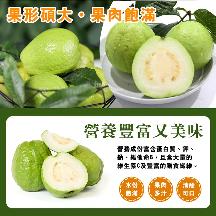 彰化溪州珍珠芭樂禮盒5斤6-10顆(冷藏配送)