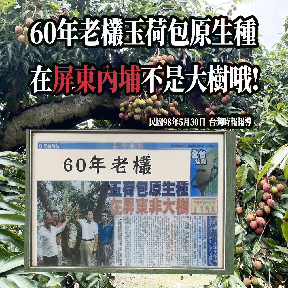 預購-屏東內埔60年老欉玉荷包禮盒4斤 帶枝不分大小 冷藏出貨 5/21開始陸續出貨