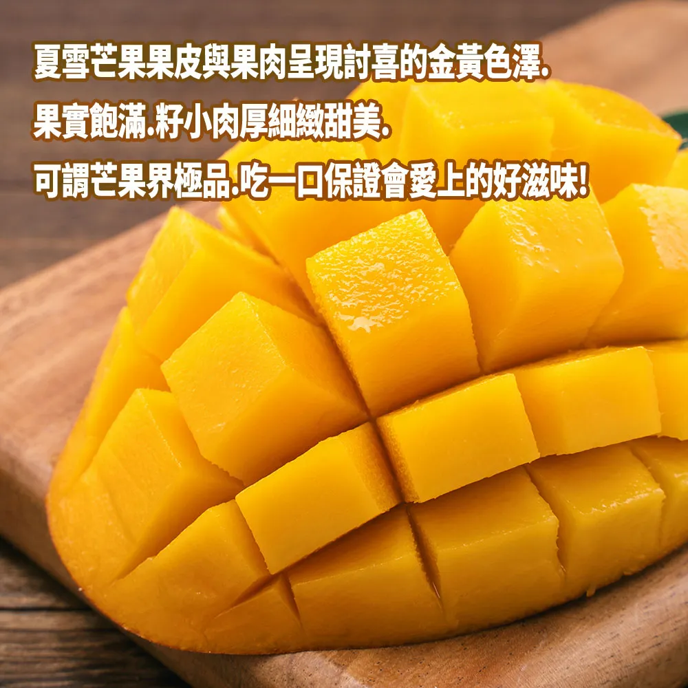 芒果界LV 台東夏雪芒果禮盒4斤4-8顆 6/15開始陸續出貨