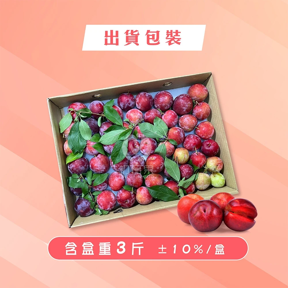 產地直送拉拉山蜜李禮盒3斤_冷藏配送