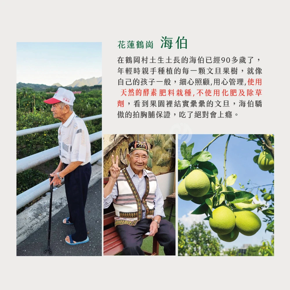 花蓮鶴岡老欉精品文旦禮盒  【歡迎企業大量訂購】