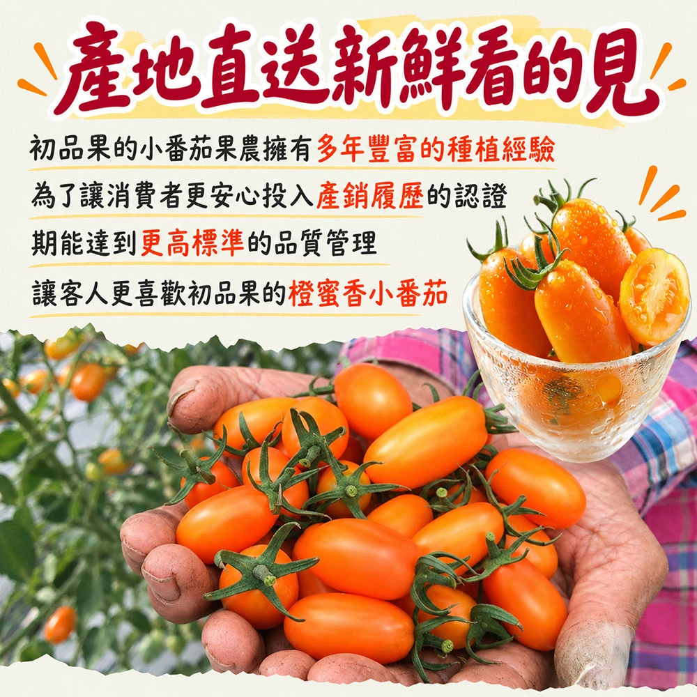 高雄美濃橙蜜香小番茄禮盒3斤 1盒/2盒/4盒/8盒