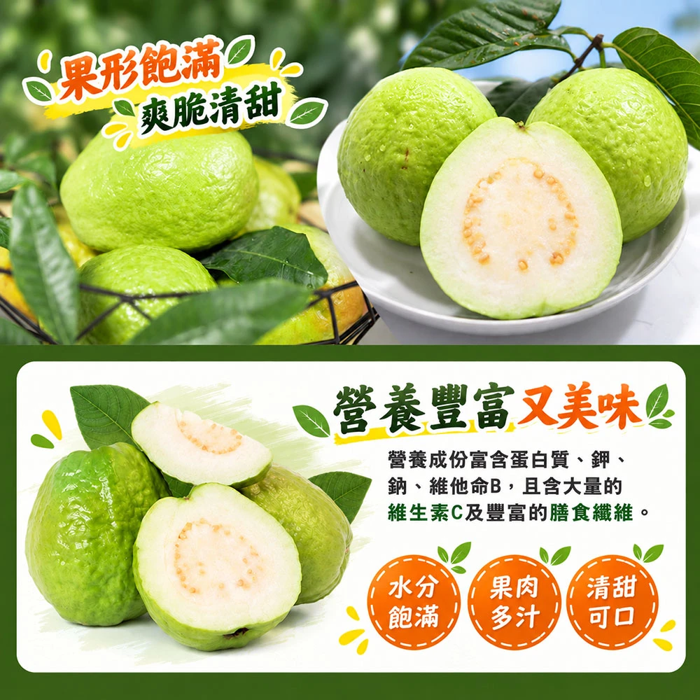 彰化溪州珍珠芭樂禮盒5斤6-10顆