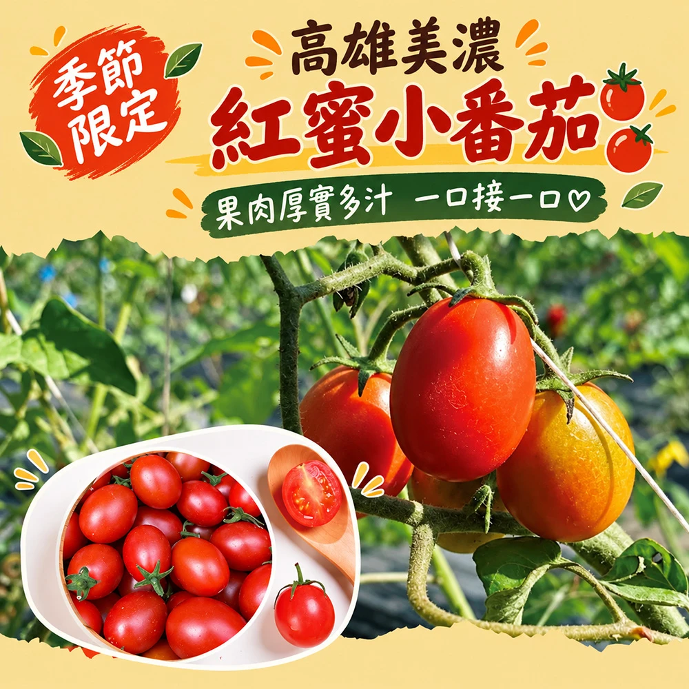 高雄美濃紅蜜小番茄禮盒3斤 1盒/2盒/4盒/8盒
