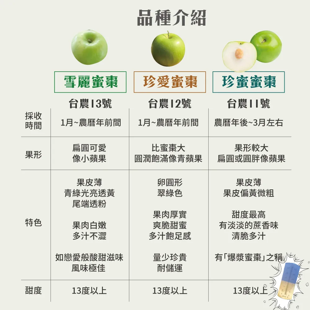 高雄燕巢牛奶蜜棗禮盒