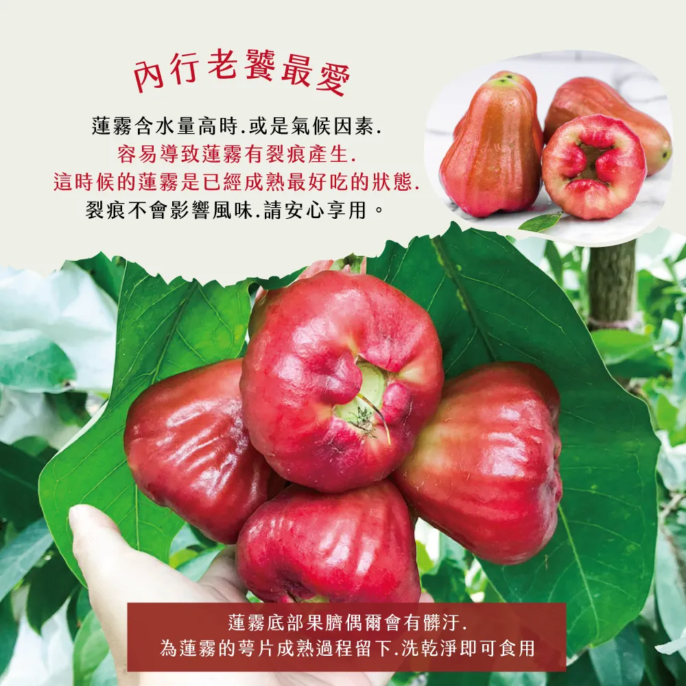 屏東枋寮黑珍珠蓮霧禮盒 3斤/4斤