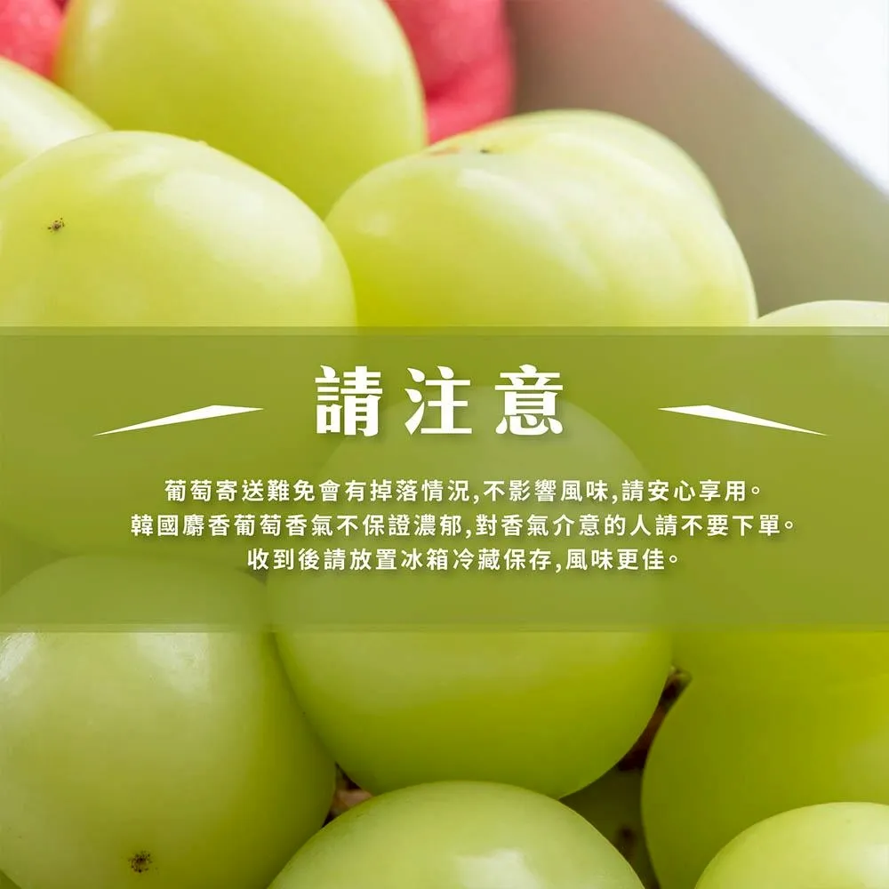 韓國空運進口麝香葡萄