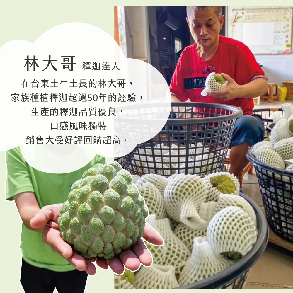 產地直送台東知本大目釋迦禮盒 5斤/10斤 