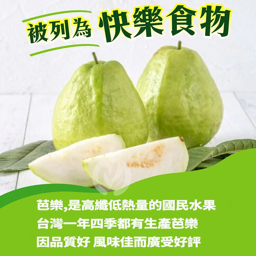 彰化溪州珍珠芭樂禮盒5斤6-10顆(冷藏配送)