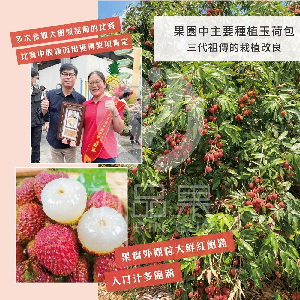 預購 季節限定 高雄大樹玉荷包禮盒3斤 冷藏配送  5/25開始陸續出貨