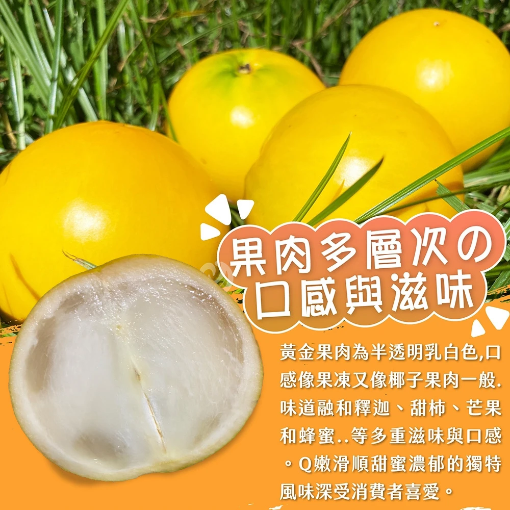 台東知本黃金果禮盒