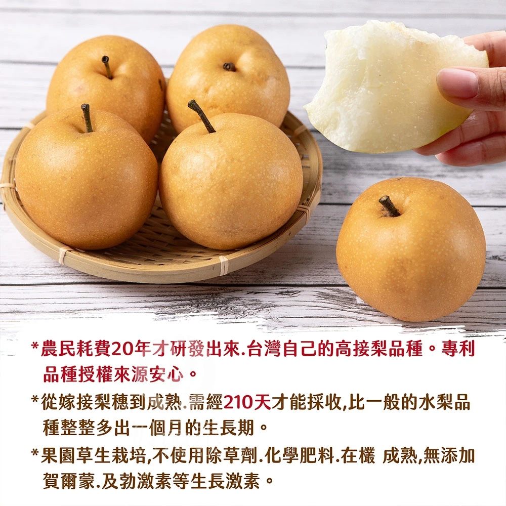 台灣寶島甘露梨禮盒2顆/盒(中秋禮盒/企業送禮/好友揪團/大量訂購) 8/1起開始陸續出貨