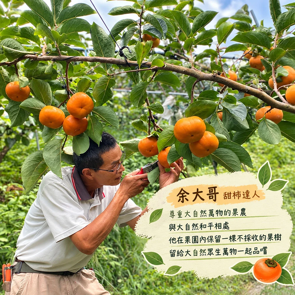 達觀部落御用甜柿禮盒  5A 6A 7A 8A 9A  1盒/2盒