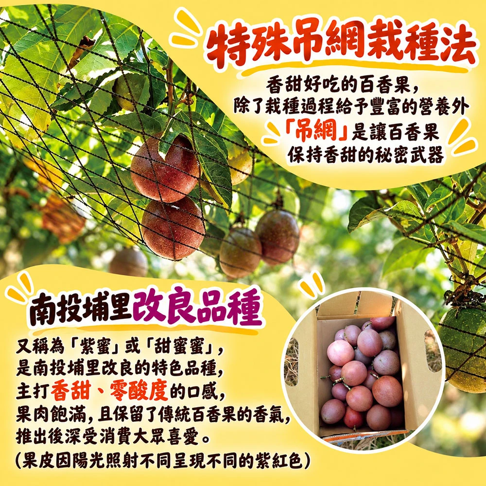 南投埔里紫蜜百香果禮盒  A級/AA級  1盒/2盒/4盒