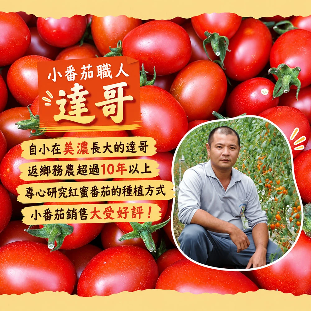 高雄美濃雙色橙蜜小番茄禮盒3斤  1盒/2盒/4盒/8盒