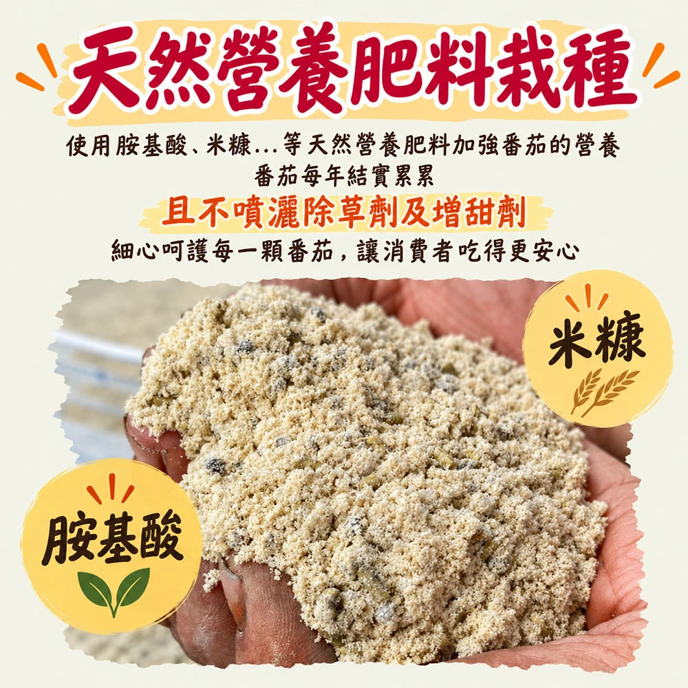 高雄美濃橙蜜香小番茄禮盒3斤 1盒/2盒/4盒/8盒