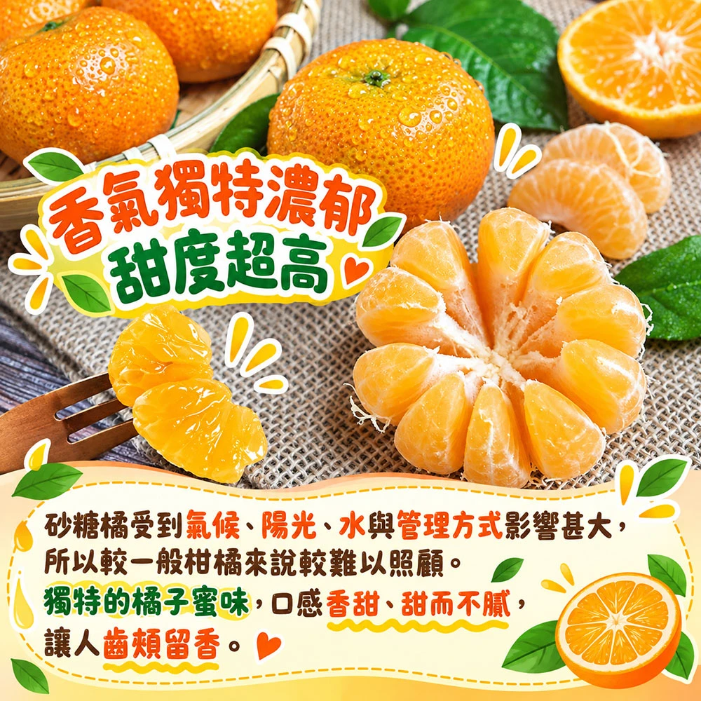 苗栗蕉埔砂糖橘禮盒3斤 1盒/2盒/4盒/8盒