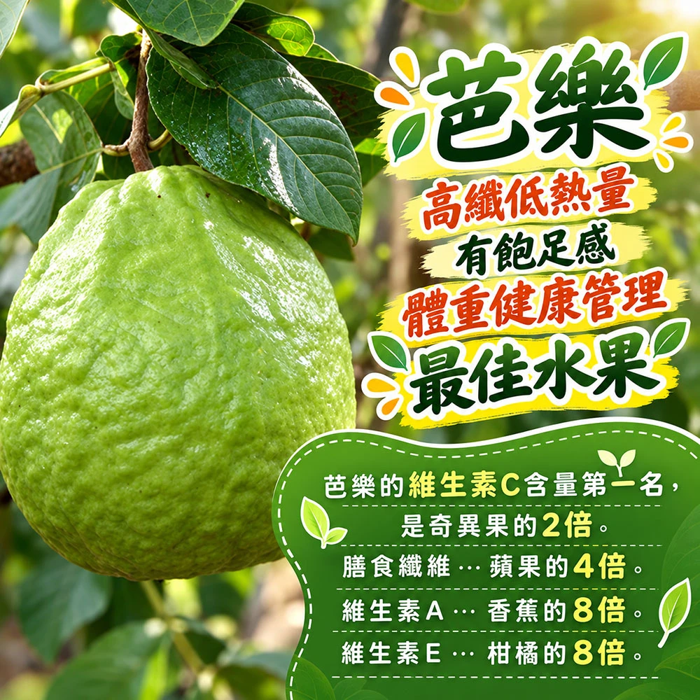 彰化溪州珍珠芭樂禮盒5斤6-10顆